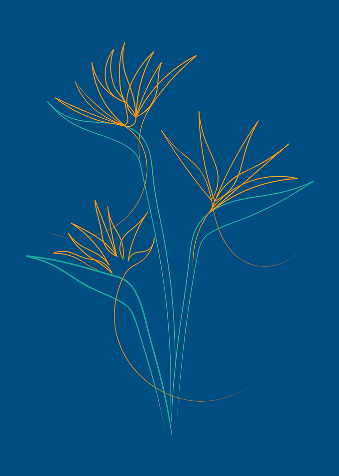 Birds Of Paradise On Blue