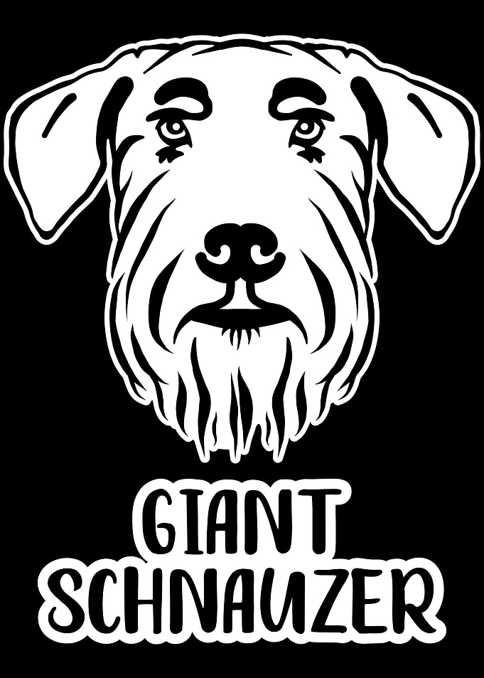 Giant Schnauzer