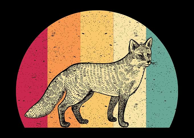Fox Vintage