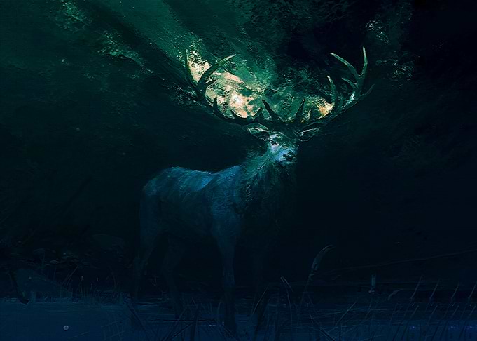 Deer
