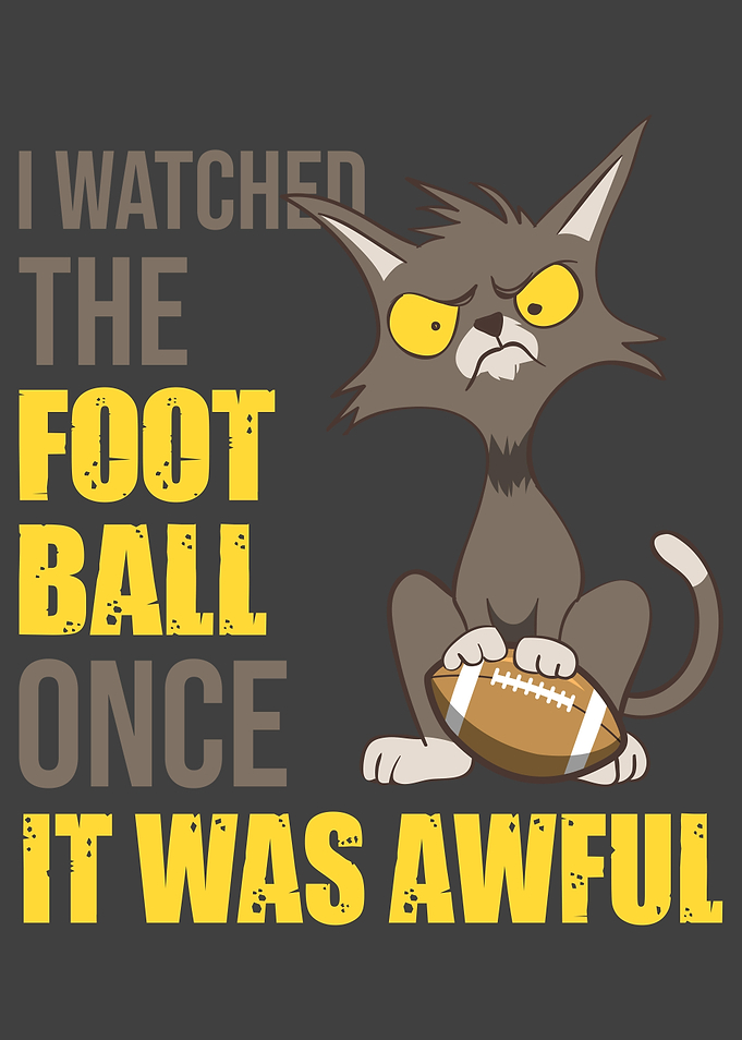 Cat watch Football