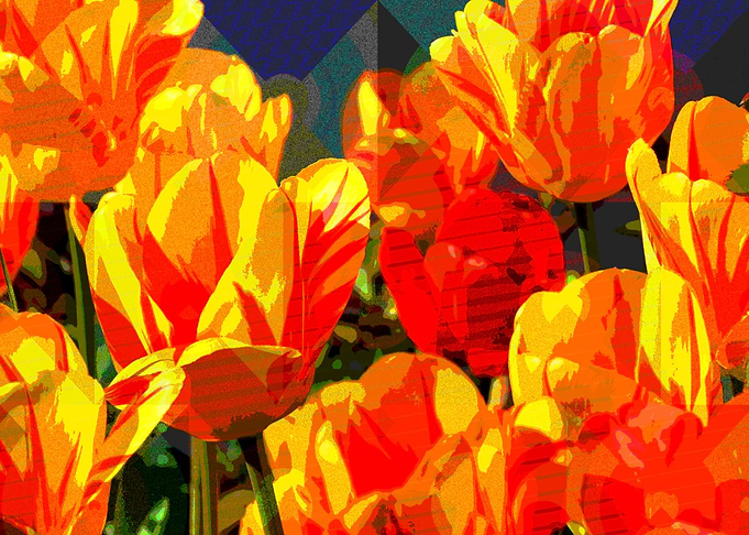 Galactic Tulips
