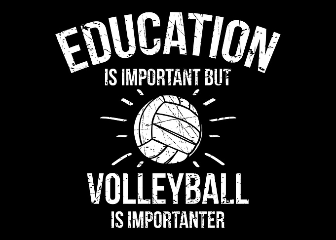 Volleyball Player Team