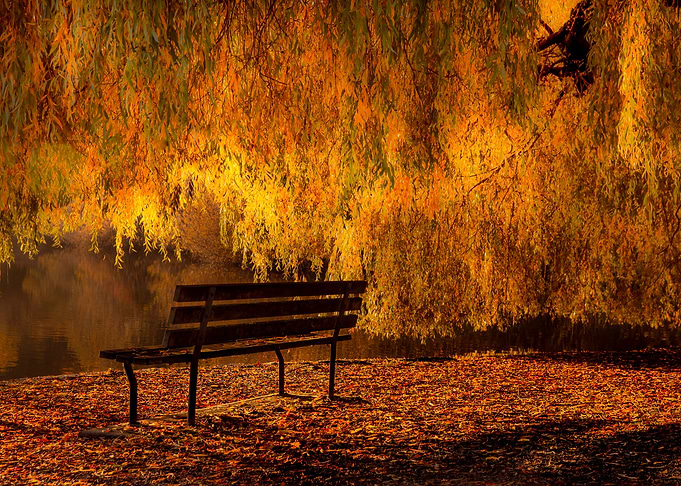 Autumn bank
