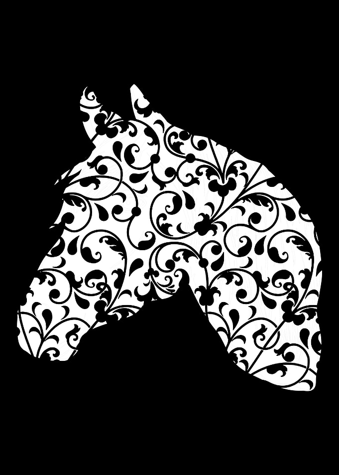 Horse head gift