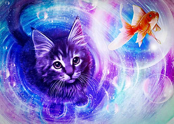 Cat and fish