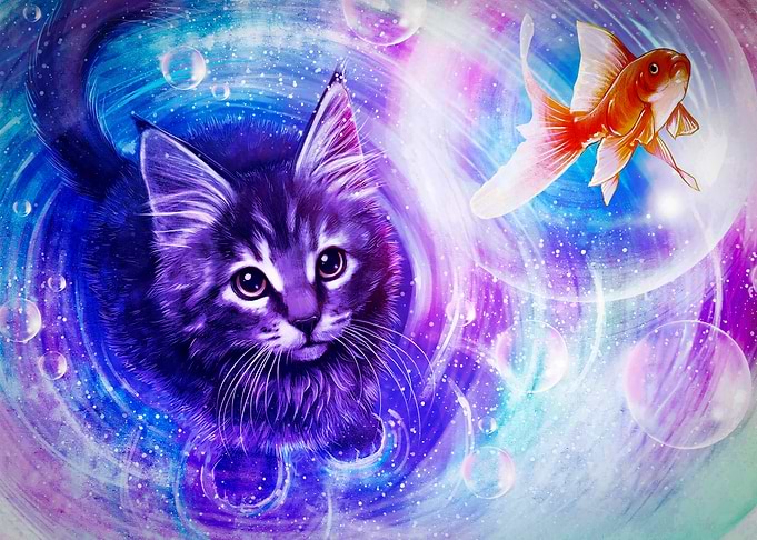 Cat and fish