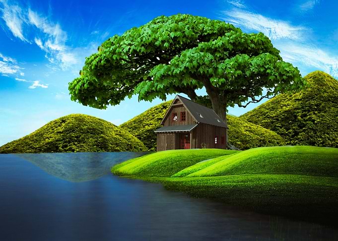 Natural Palace