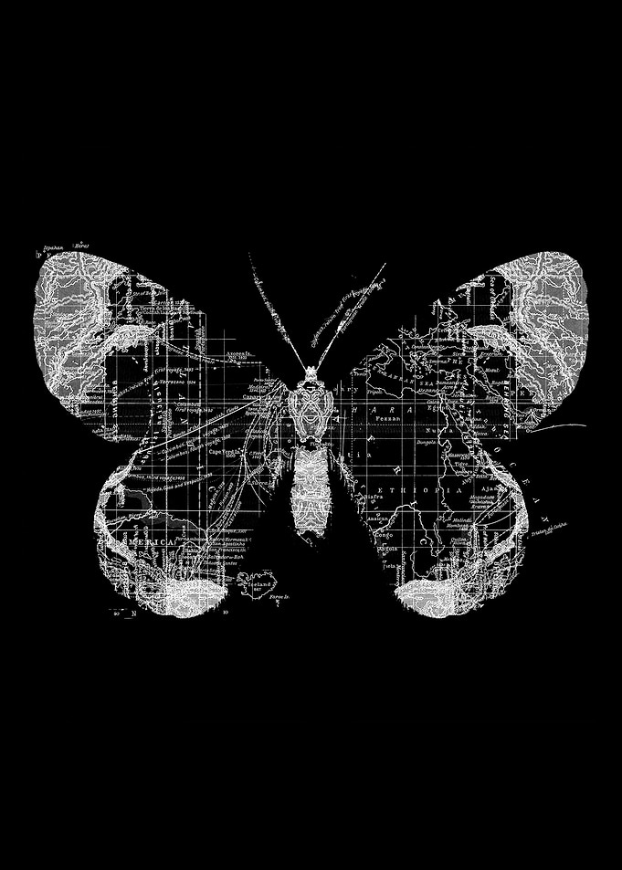 Butterfly Wanderlust