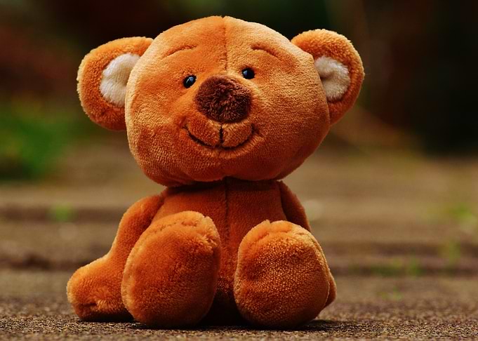 Lone Teddy