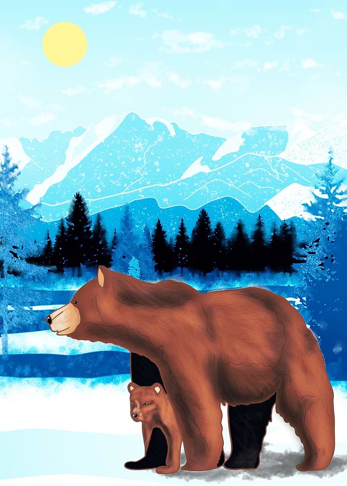 Bear and cub