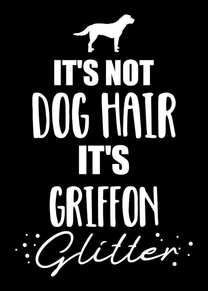 Griffon