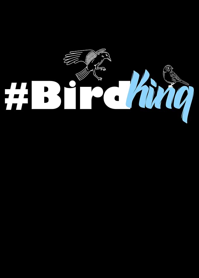 bird king