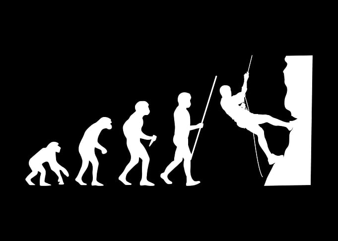 Climbing Evolution