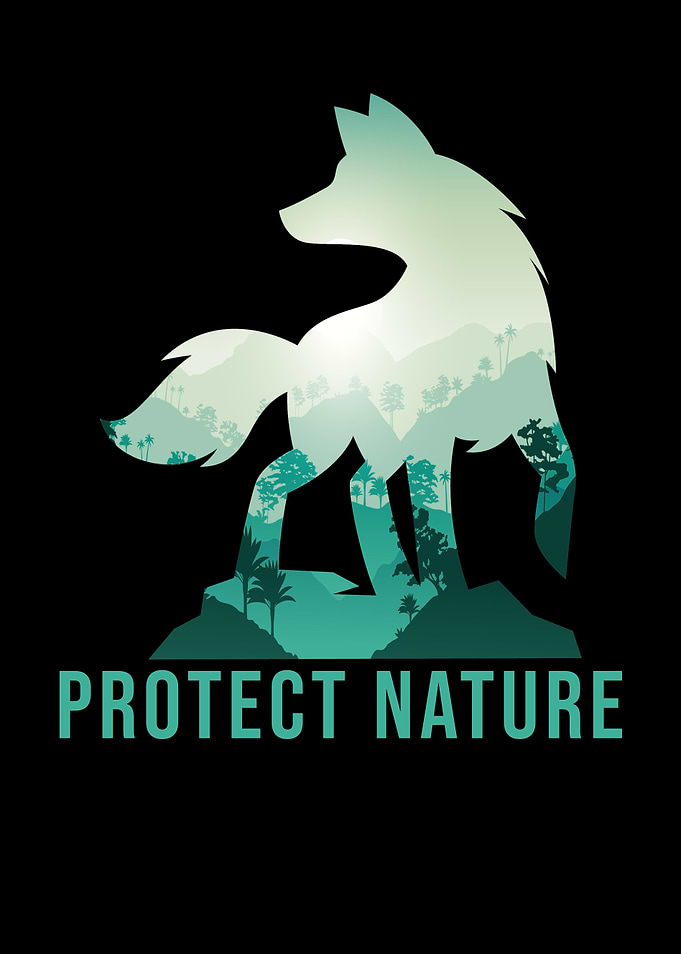 Fuchs Nature