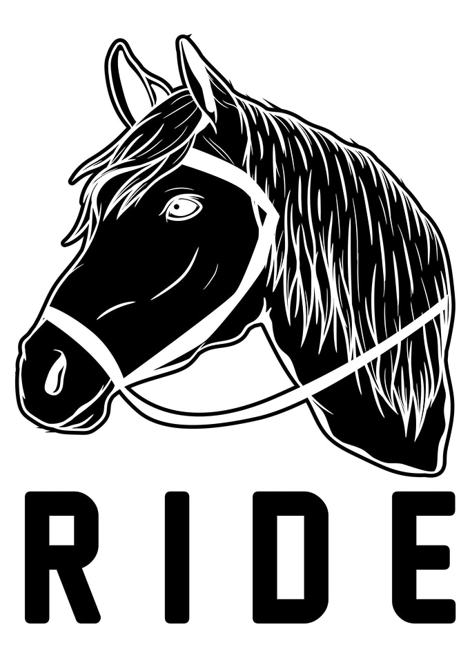 Horse head gift