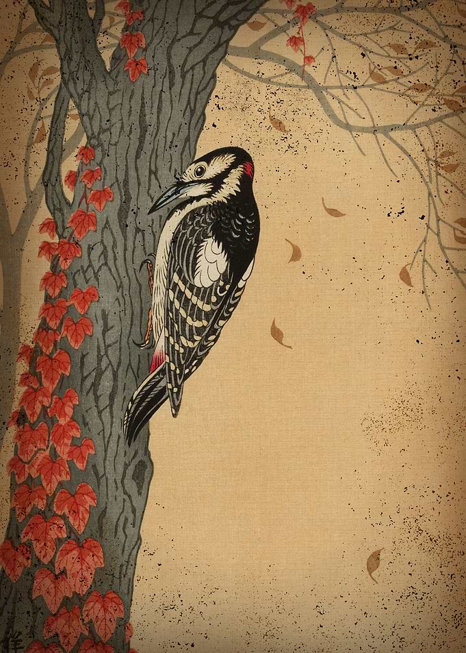 Japanese Woodpecker