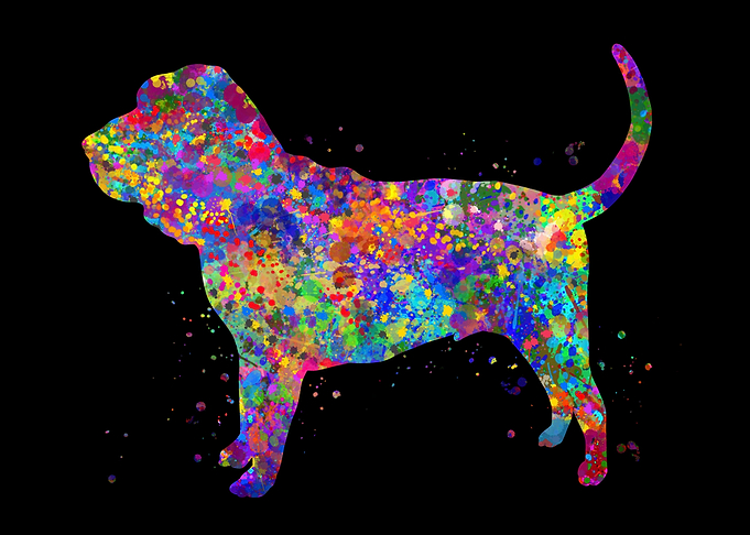 Bloodhound dog