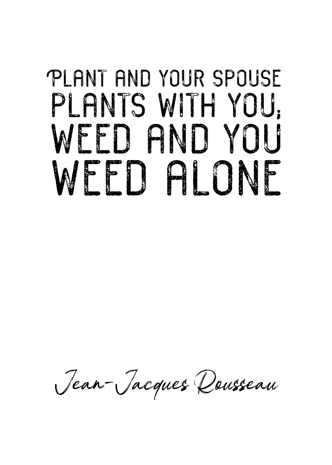 Jean Jacques Rousseau Q6