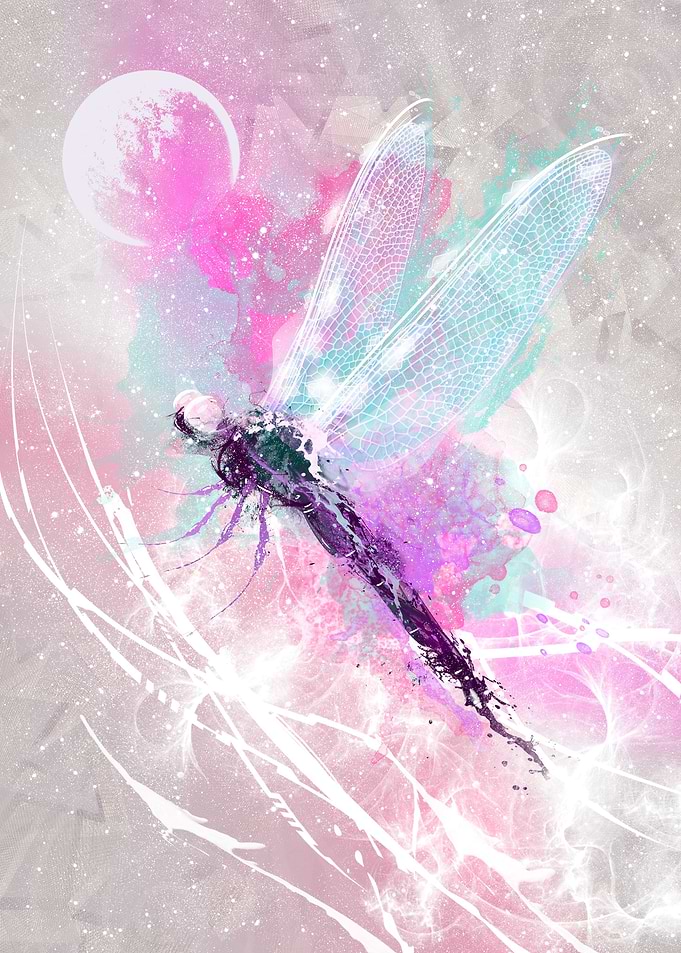 Metamorphosis