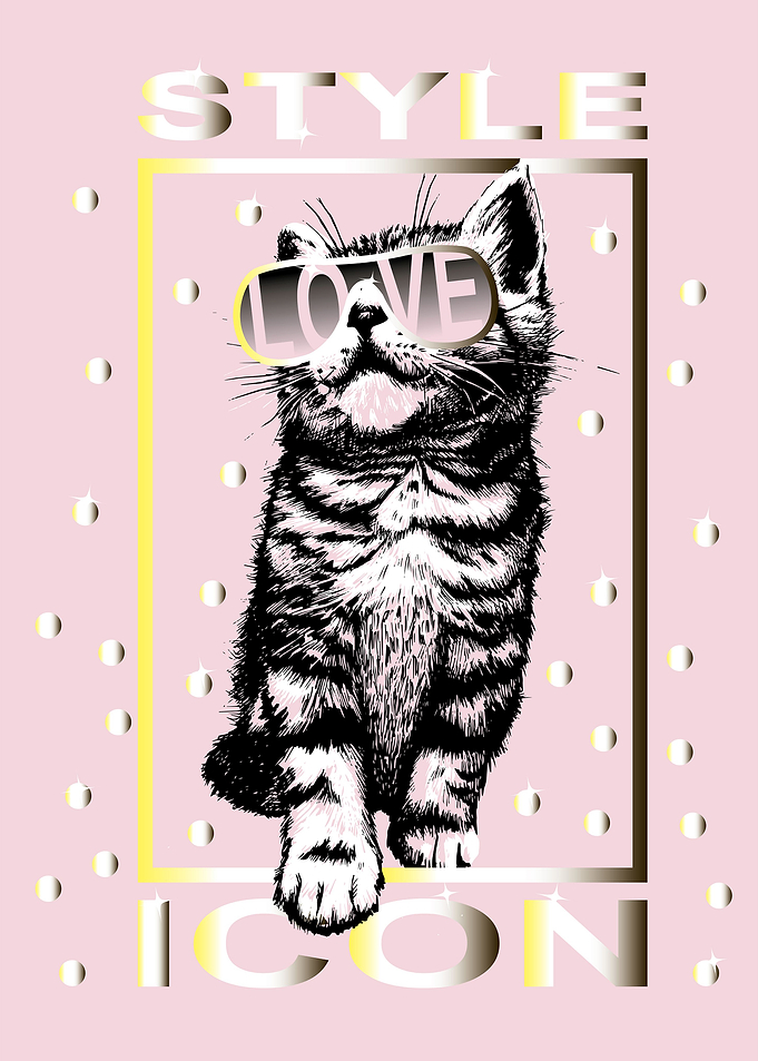 Cat with sunglesses