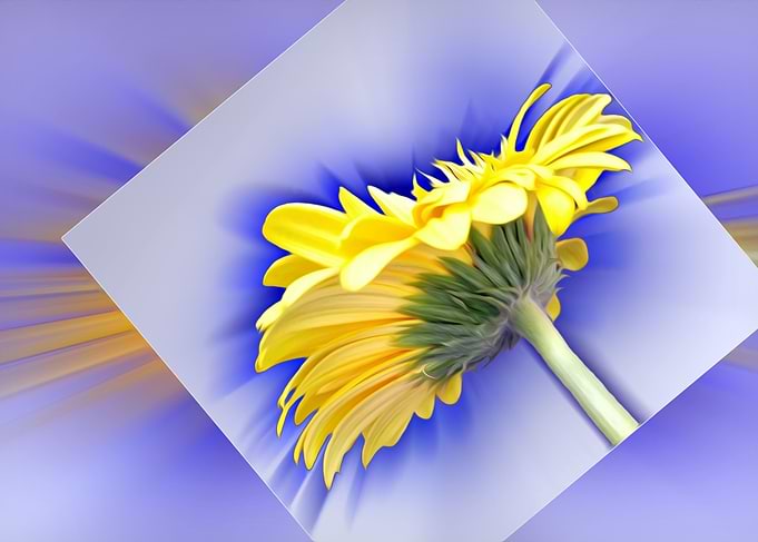 Yellow and blue