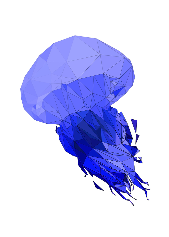Jellyfish on modern