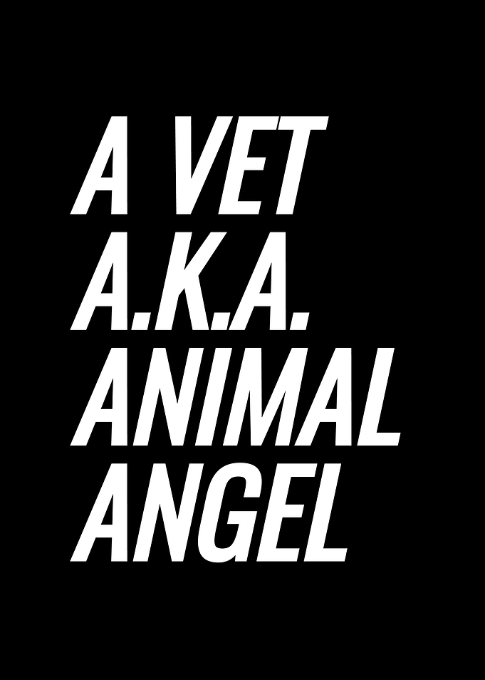 Vet