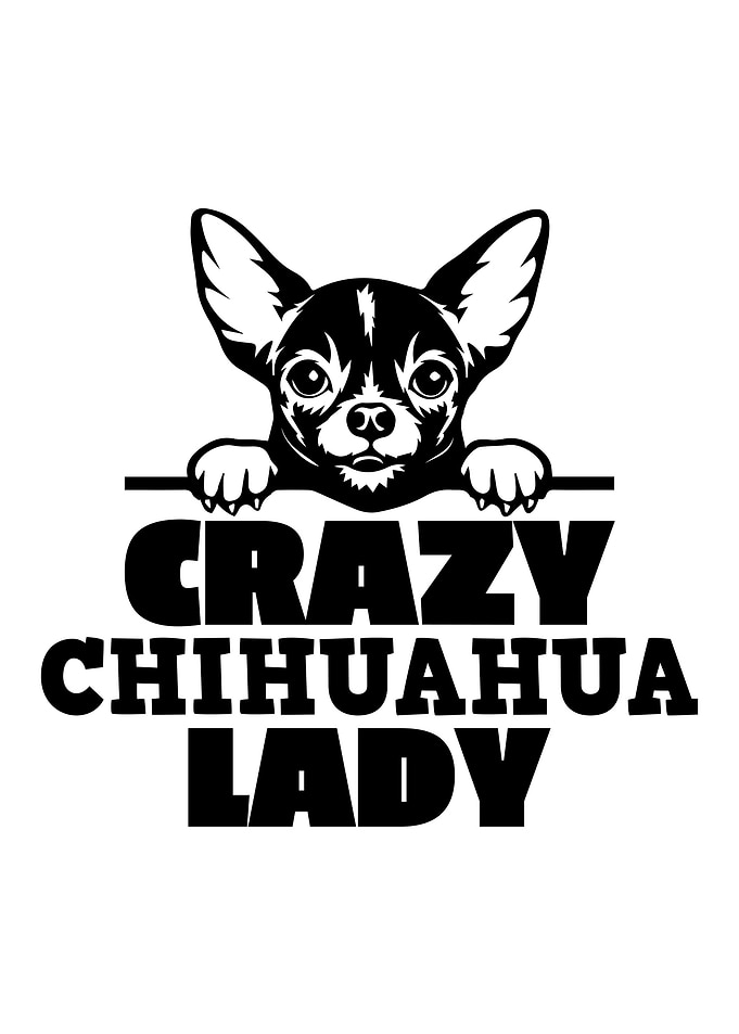 Crazy Chihuahua Lady Gift