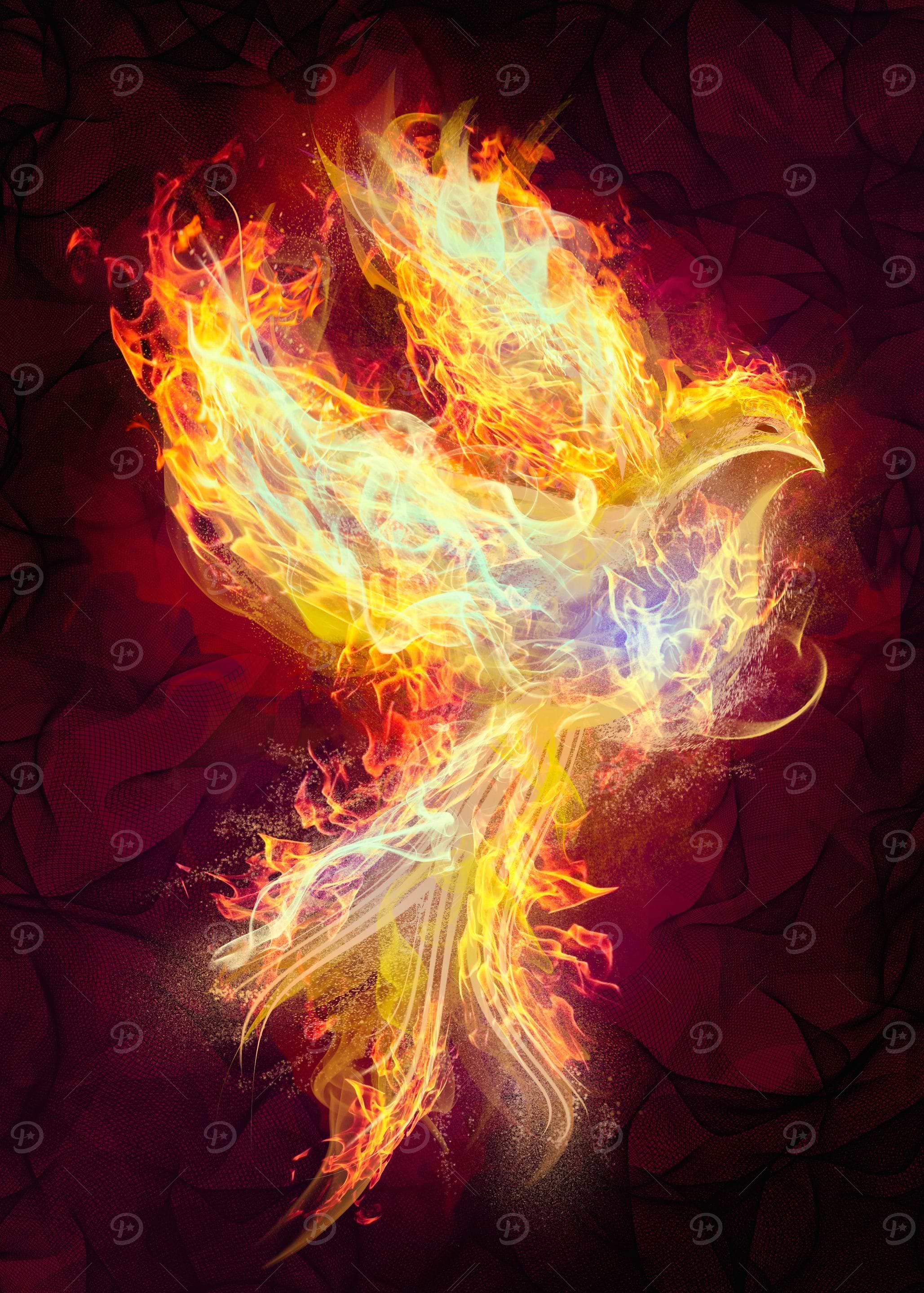 Phoenix Reborn