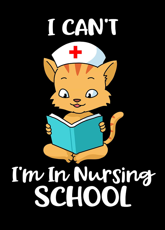 I Cant Im In Nursing