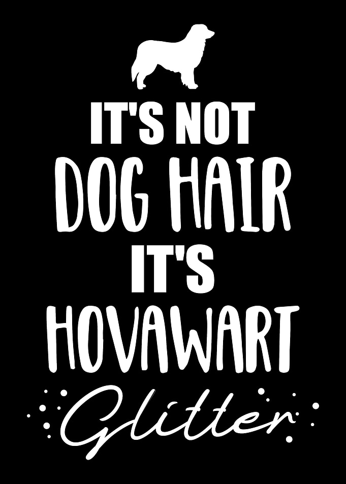 Hovawart