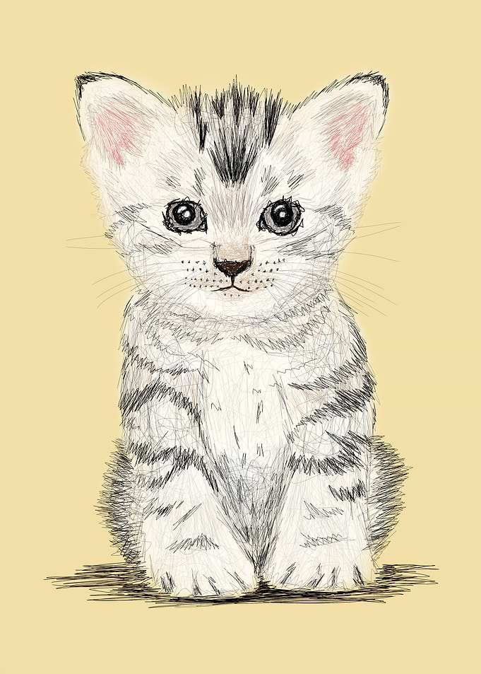 Kitty