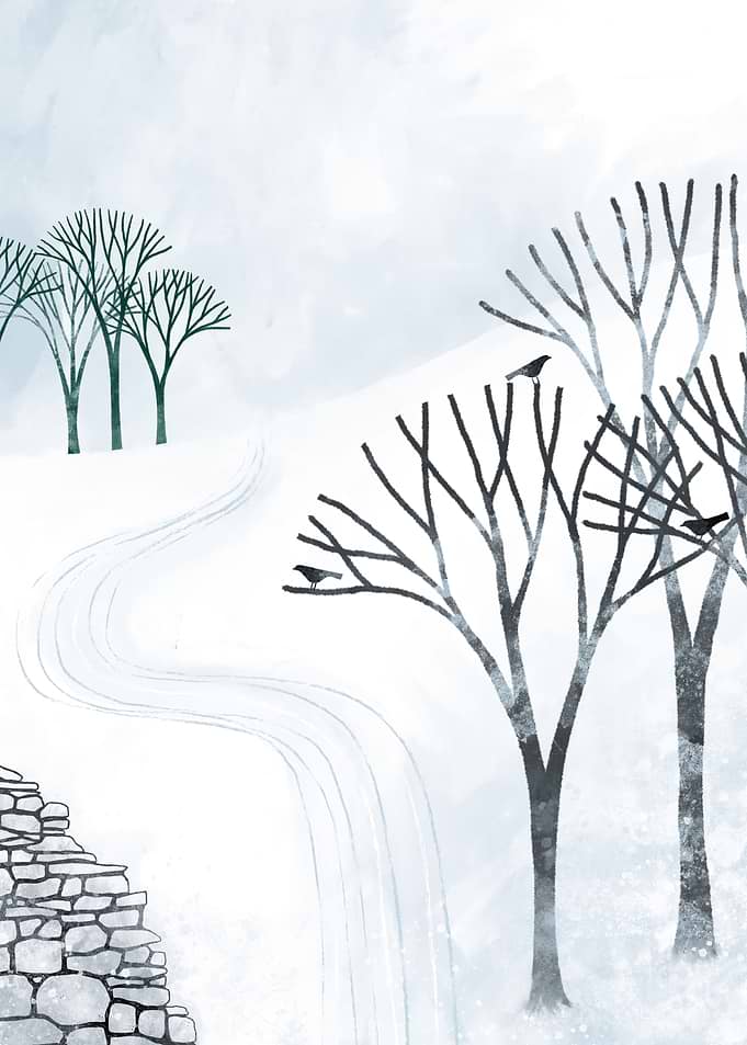 More Snow to Come