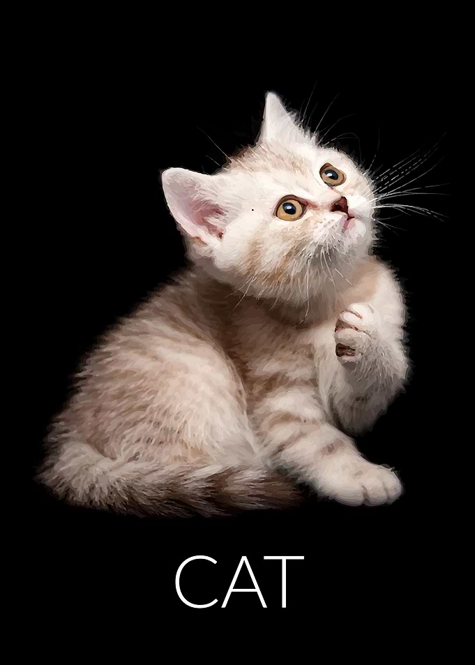 cat