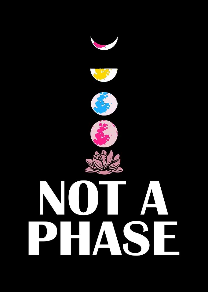 Pansexual Pride Funny