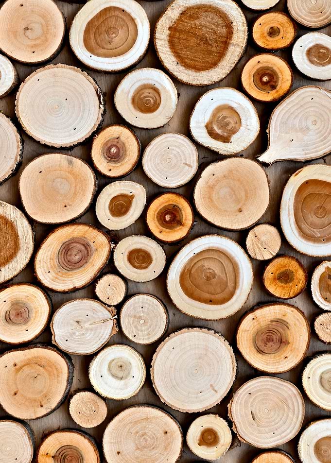 Abstract Of Wooden Disks