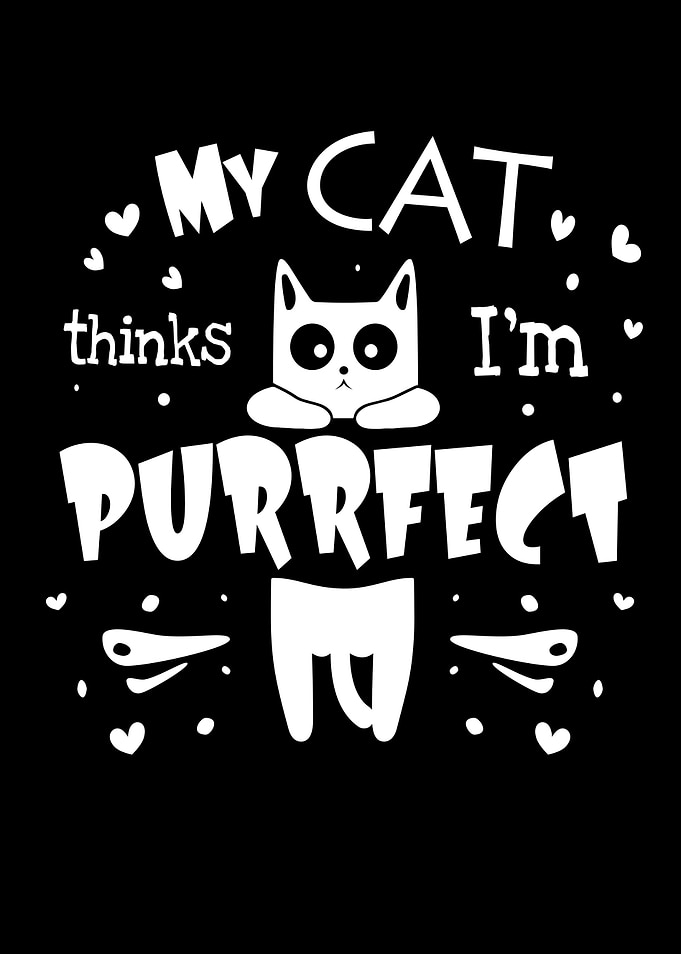 Cat Cats Gift Cat Face