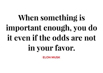 Elon Musk Quotes