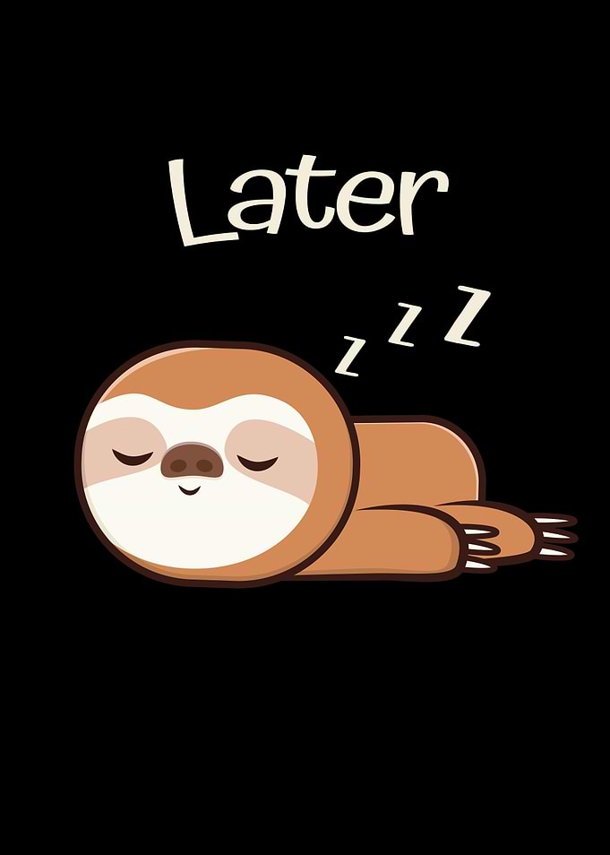 Cute Sloth Work Later