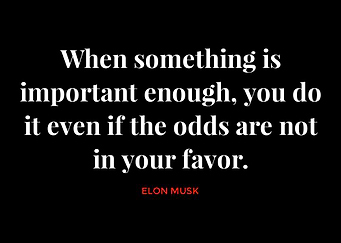 Elon Musk Quotes
