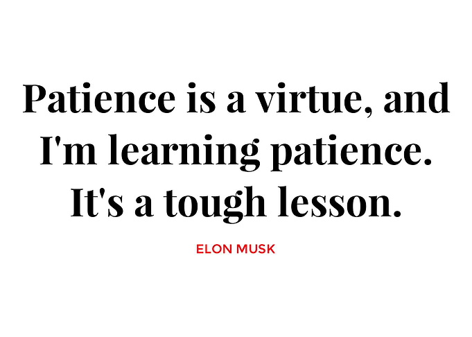 Elon Musk Quotes