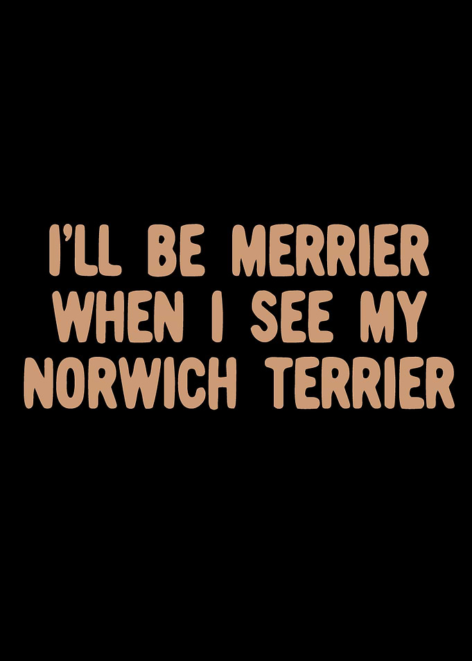 Norwich Terrier