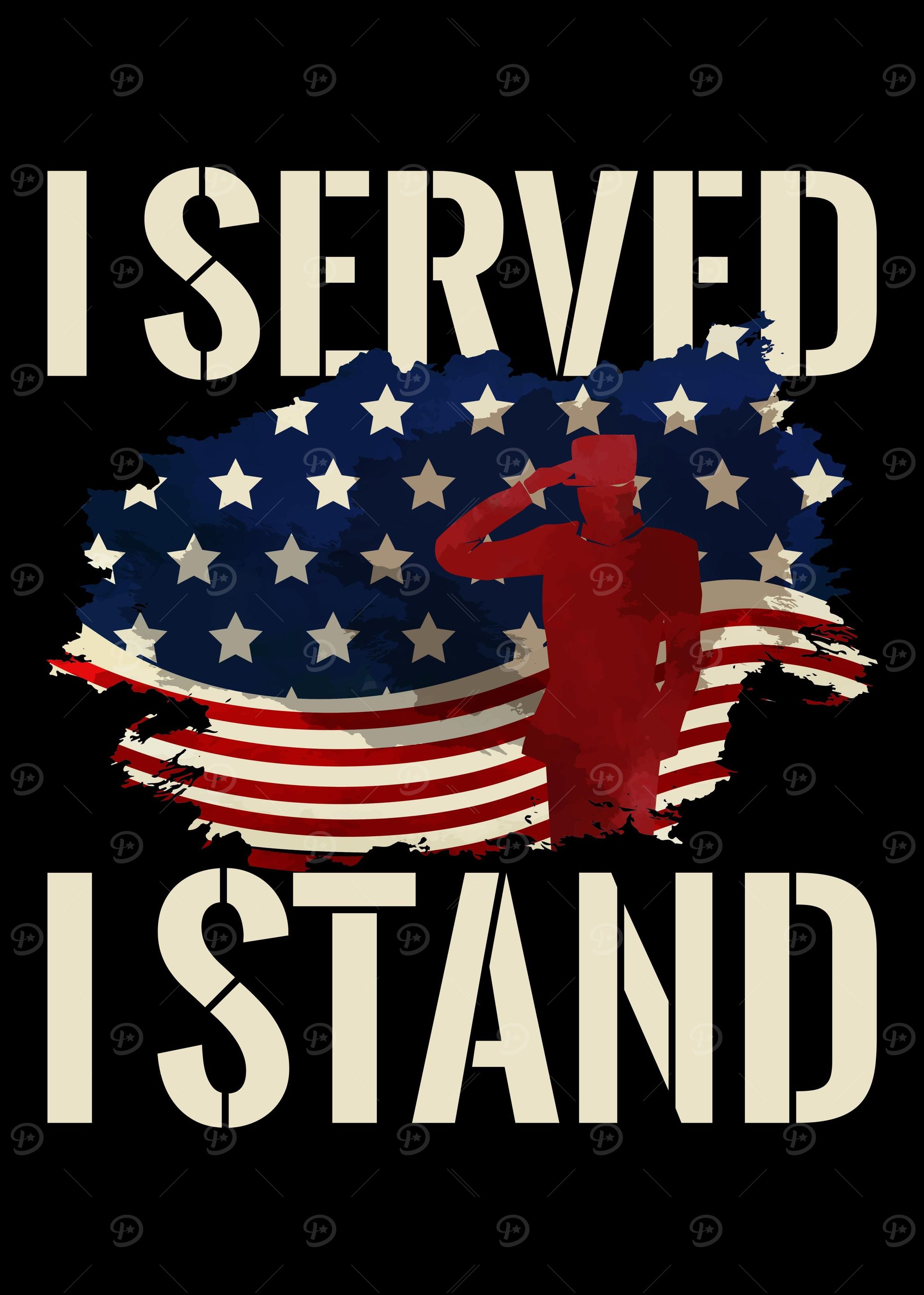 Soldier Military Veteran