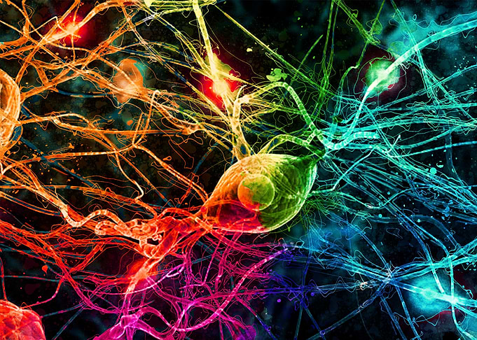 Neural Network Abstract