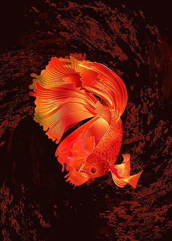 Siamese Fighting Fish