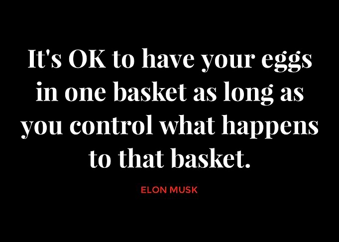 Elon Musk Quotes