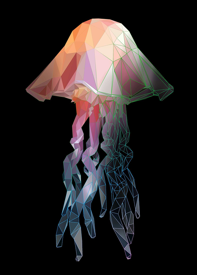 Jellyfish on modern art