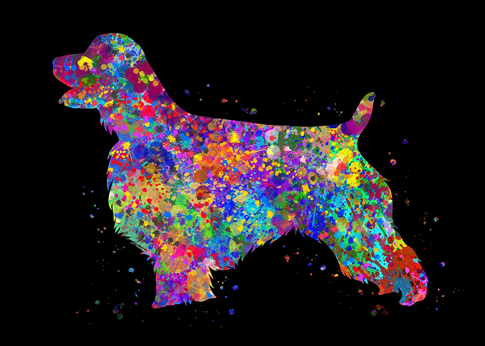 English springer spaniel
