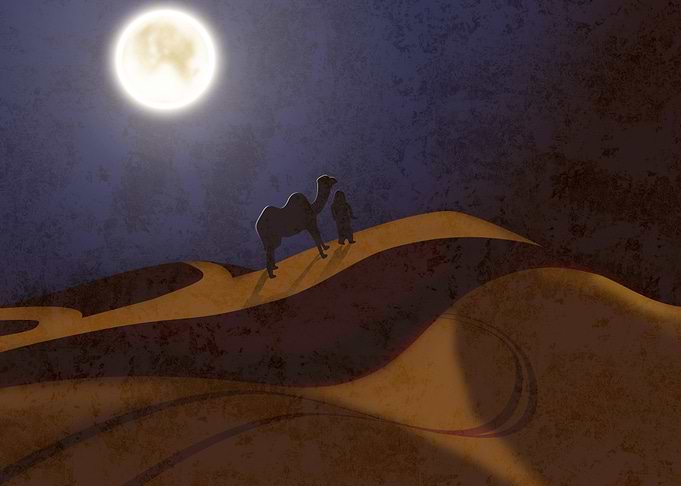 Desert Nights Journey
